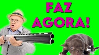 O Segredo de Ensinar o Cachorro Fazer Xixi e Coco no Lugar Certo [upl. by Nosniv]