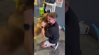 Dog reunited with owner after 6 months apart [upl. by Jason568]