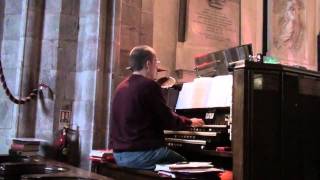 quotRhosymedrequot Ralph Vaughan Williams  Cathedral Organ [upl. by Einehpets]