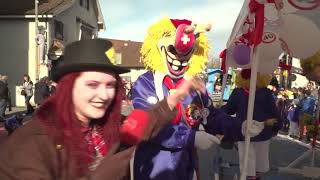 Fasnacht Oberwil 2019 [upl. by Grishilde80]