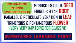 MONOCOT amp DICOT PLANTS  TRICK  CBSE NCERT SCIENCE CLASS 6 CHAPTER 7 [upl. by Ilahsiav877]