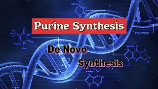 Purine Synthesis  De Novo Synthesis nucleotides dna purines [upl. by Dickinson499]