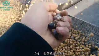 Beans Destoner Gravity destoner sesame pulses Destoner destoner destoning beansdestoner cleaner [upl. by Enitsirc]