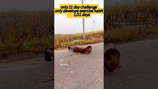 21 days challenge fo exercisesgym motivation exercise trendingshorts health [upl. by Bryner]