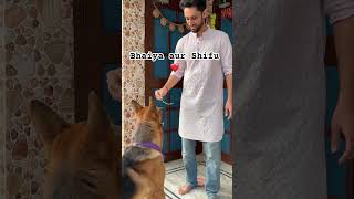 Shifu ka game🐶blog minivlog shortvideo funny ghar dog comedy vlogs vlog trending viral [upl. by Chassin]