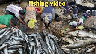 Traditional fishing style in Nepalfishing fishingvideo fish fishcurry villagelife rurallife [upl. by Atilrak]