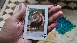 Pick A Card Reading Urgent Who Is Sending Negative Energy [upl. by Elleirbag]