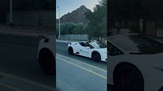 Stocks Trader cars collextion in dubai🤯 ​⁠ stocktraders dubailife [upl. by Notsirb25]