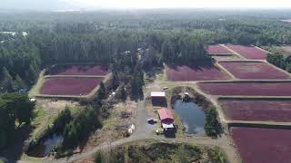 SOLD BANDON OREGON CRANBERRY FARM FOR SALE  47866 HWY 101 Bandon Oregon 97411 [upl. by Sundin]