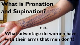 What is Pronation and Supination of the Forearm [upl. by Rayham]