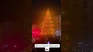 Brno Christmas Market 2024 christmas brno czechia [upl. by Kcirdehs230]