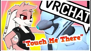 Furries touch me in Public VRchat [upl. by Liryc]