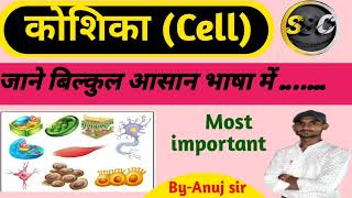 जानिए कोशिका आसान भाषा में Celllongvideo मानव कोशिका human cell biology [upl. by Hazeghi]