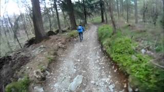 Lake District mountain biking descent off Claife Heights to Belle Grange [upl. by Alegnave370]