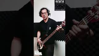 TOOL quotThe Potquot Bass Cover short [upl. by Longfellow376]