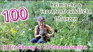 100 heimische amp insektenfreundliche Pflanzen 14 Einführung amp 5 Familien inkl BestäuberWissen [upl. by Ogg]