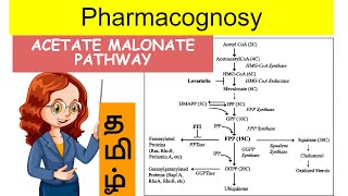 acetate malonate pathway  pharmacognosy2  Unit 1  tamil [upl. by Yrac]