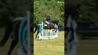 First video ll Wilma llelphickeventponies [upl. by Lacsap]