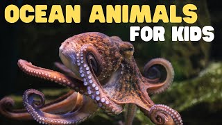 Ocean Animals for Kids  Learn all about the Animals and Plants that Live in the Ocean [upl. by Alejandra663]