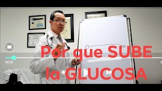 ¿Por que SUBE MI GLUCOSA [upl. by Gerdy224]