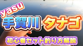 【タナゴ釣り】2024年手賀川で初心者セットの攻め方、タナゴ攻略 [upl. by Julietta770]