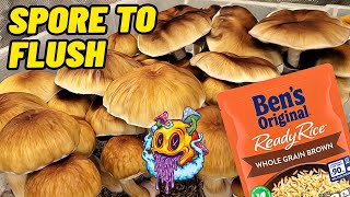 Spore To Flush  Uncle Bens Tek  Complete Beginners Guide To Growing Mushrooms [upl. by Dleifxam]