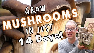 How To Grow Mushrooms At Home in 14 Days [upl. by Eniamor]