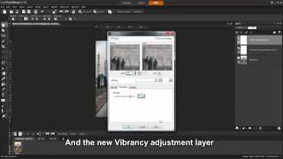 PaintShop Pro X4  Adjustment Layers [upl. by Neysa]