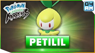 Where To Find PETILIL amp How To Catch It in Pokemon Legends Arceus [upl. by Carey]