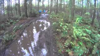 TT Toertocht Kalmthout GITOK 17112013 [upl. by Brendis]