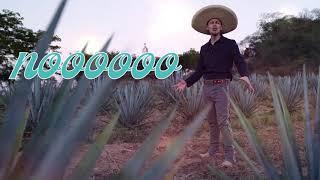 Te Parto El Alma Luis Alfonso Partida quotEl Yakiquot Versión Mariachi Video Lyric [upl. by Sanfo207]