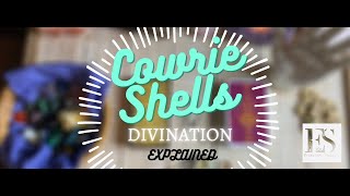 🔮🐚 Cowrie Shells  Divination Explained 🐚🔮✨ [upl. by Lashonde9]