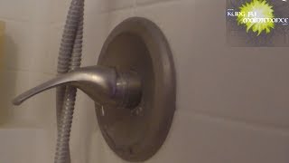 Single Handle Faucet Leaking Shower Valve Repair [upl. by Nue]