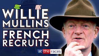 Willie Mullins  French Recruits 2425 [upl. by Gredel]