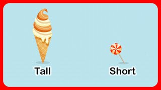 Tall and Short Comparison for Kids Toddlers Children  Educational Videos [upl. by Iralav]