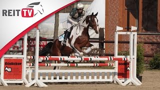 Springreiten lernen Parcours reiten leicht gemacht [upl. by Beedon117]