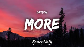 Gatton  More Lyrics [upl. by Misa]