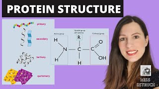 PROTEIN STRUCTURE Amino acid structures Primary secondary tertiary and quaternary proteins [upl. by Sumetra]