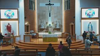 Catholic Mass for 18th Sunday in Ordinary Time 4 August 2024  6pm [upl. by Sholley13]