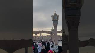 Mustafa JaneRehmat beautiful madina vlog duet love live friday naat naatstatus shorts [upl. by Toma206]