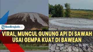 Viral DIsebut Muncul Gunung Api di Sawah Usai Gempa Kuat di Bawean Ini Kata PVMBG [upl. by Inahteb]