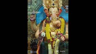 Lalabaga cha raja 2024 ll ganpati bappa 2024 lalbaghchraja parelcharaja kalachowkichamahaganpati [upl. by Eoz379]