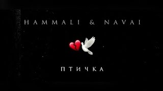 HammAli amp Navai  Птичка [upl. by Adnaerb507]