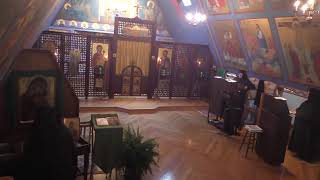 Ellwood City Chapel  Matins and Divine Liturgy  Fr Long [upl. by Hubey842]