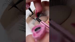 Eyelash extensions manufacturer lashessupplier lashextensions [upl. by Ripleigh265]