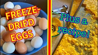 Freeze Dried Eggs  Dutch Baby German Pancake Recipe [upl. by Kalb905]