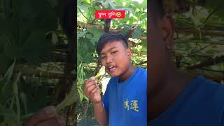 Main diwalnitrendingreels trendingsong trendingaudio viralreels viralsongs comedy assamese [upl. by Anayit]