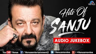 Enjoy Songs Of Sanju  Hindi Songs  JUKEBOX  90s Evergreen Songs [upl. by Kulsrud170]