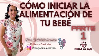 INTRODUCCIÓN de alimentos en tu bebé Alimentación complementaria Guía ACTUALIZADA PARTE 1 [upl. by Chainey]