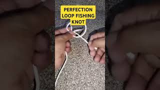 HOW TO TIE PERFECTION LOOP FISHING KNOT [upl. by Merrili]